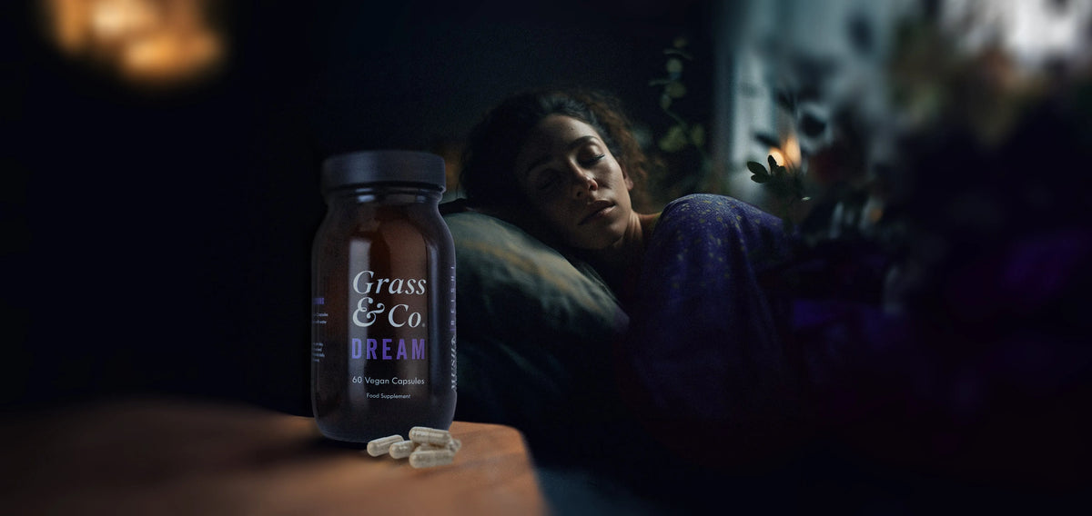 The Power of Reishi Mushrooms for a Restful Sleep