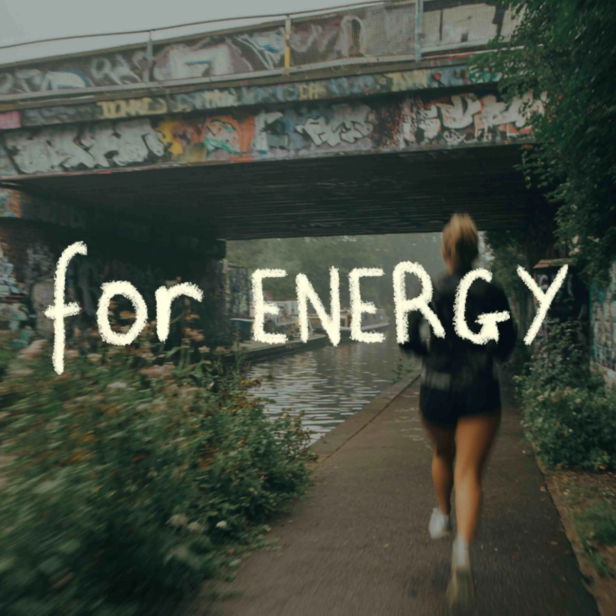 ENERGY | Cordyceps Mushroom Capsules