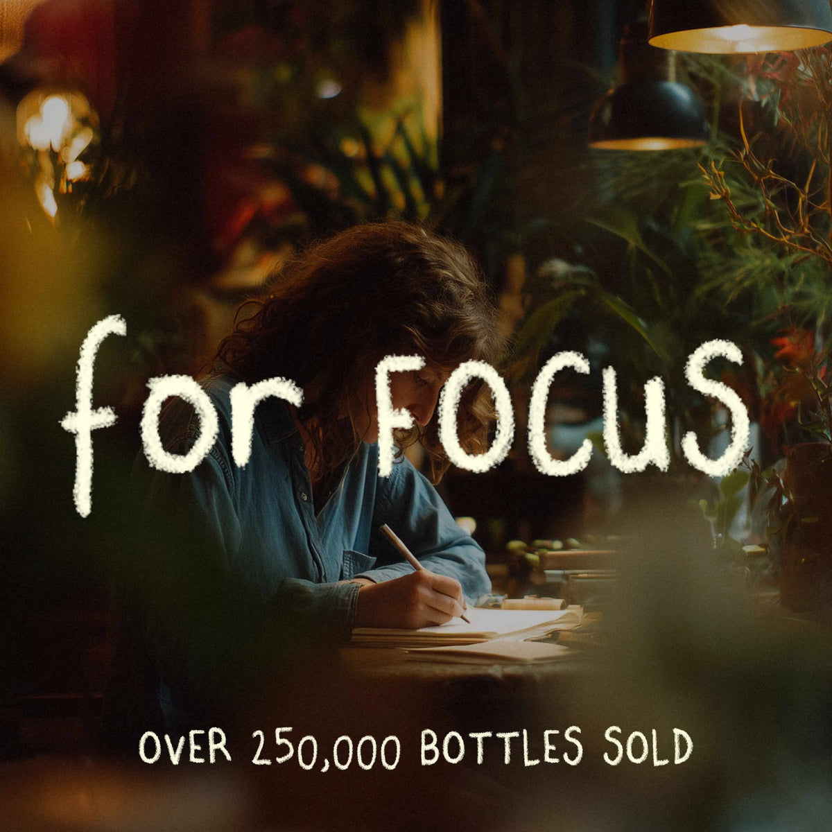 FOCUS | Lion's Mane Mushroom Capsules