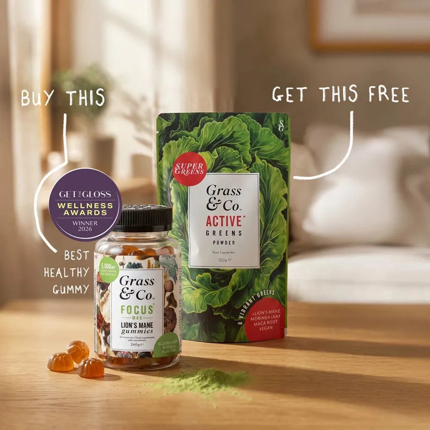 FOCUS MAX | Lion's Mane Mushroom Gummies